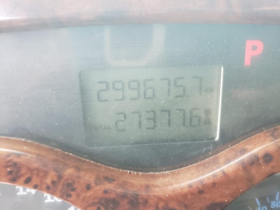 178101116969997.jpg